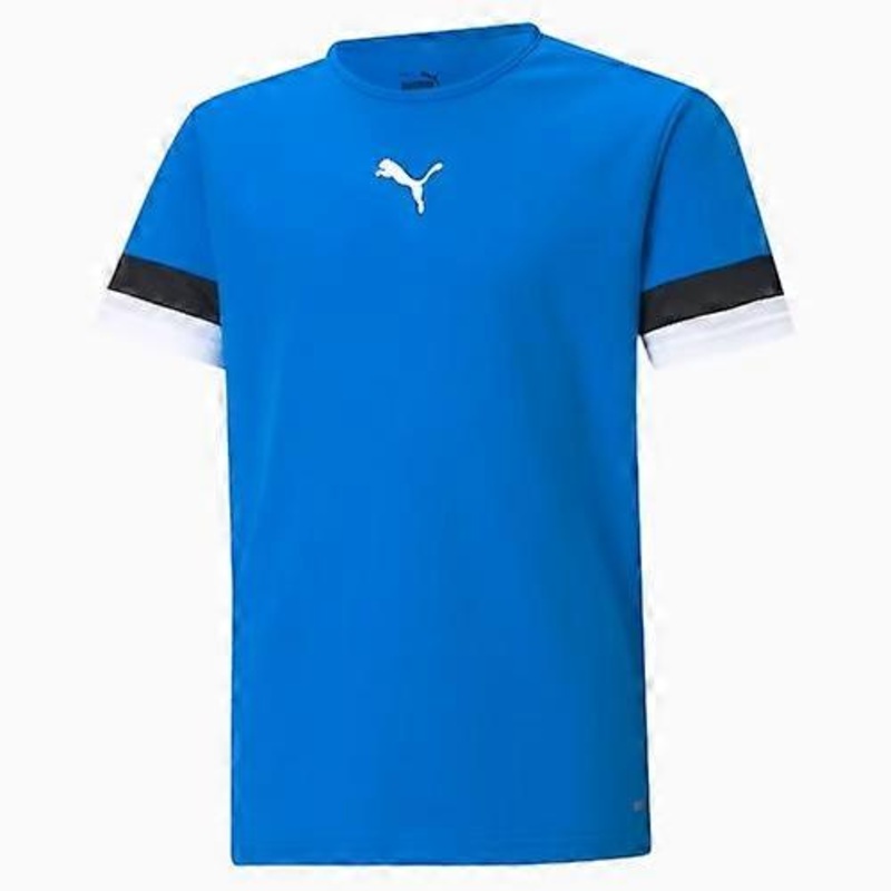 Puma Mens TeamRISE Jersey