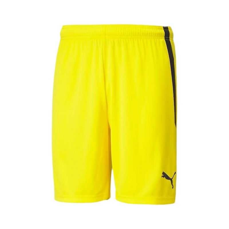 Puma Spodenki Teamliga M 70492407 training all year men
